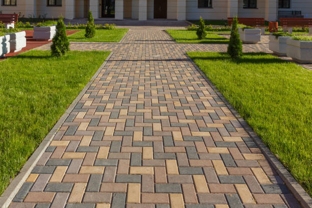 Best Driveway Paving Contractor  in Ladera Ranch, CA